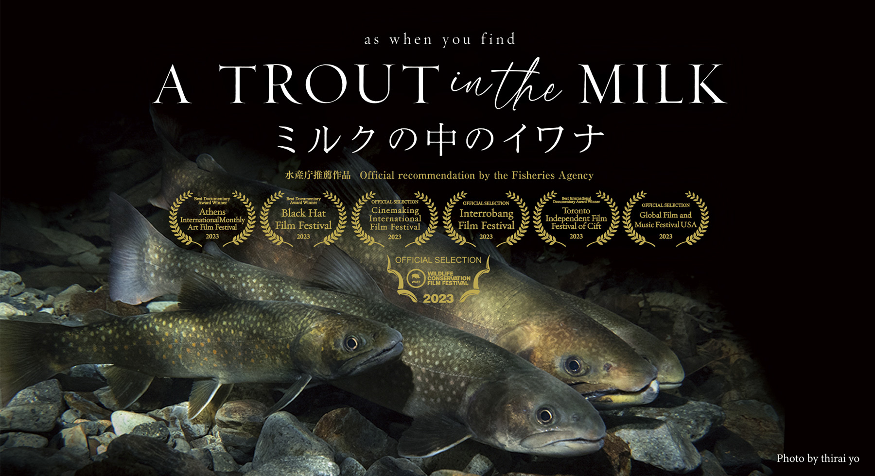 映画『A TROUT IN THE MILK / ミルクの中のイワナ』上映会 SOUTH2 WEST8 SAPPOROにて開催