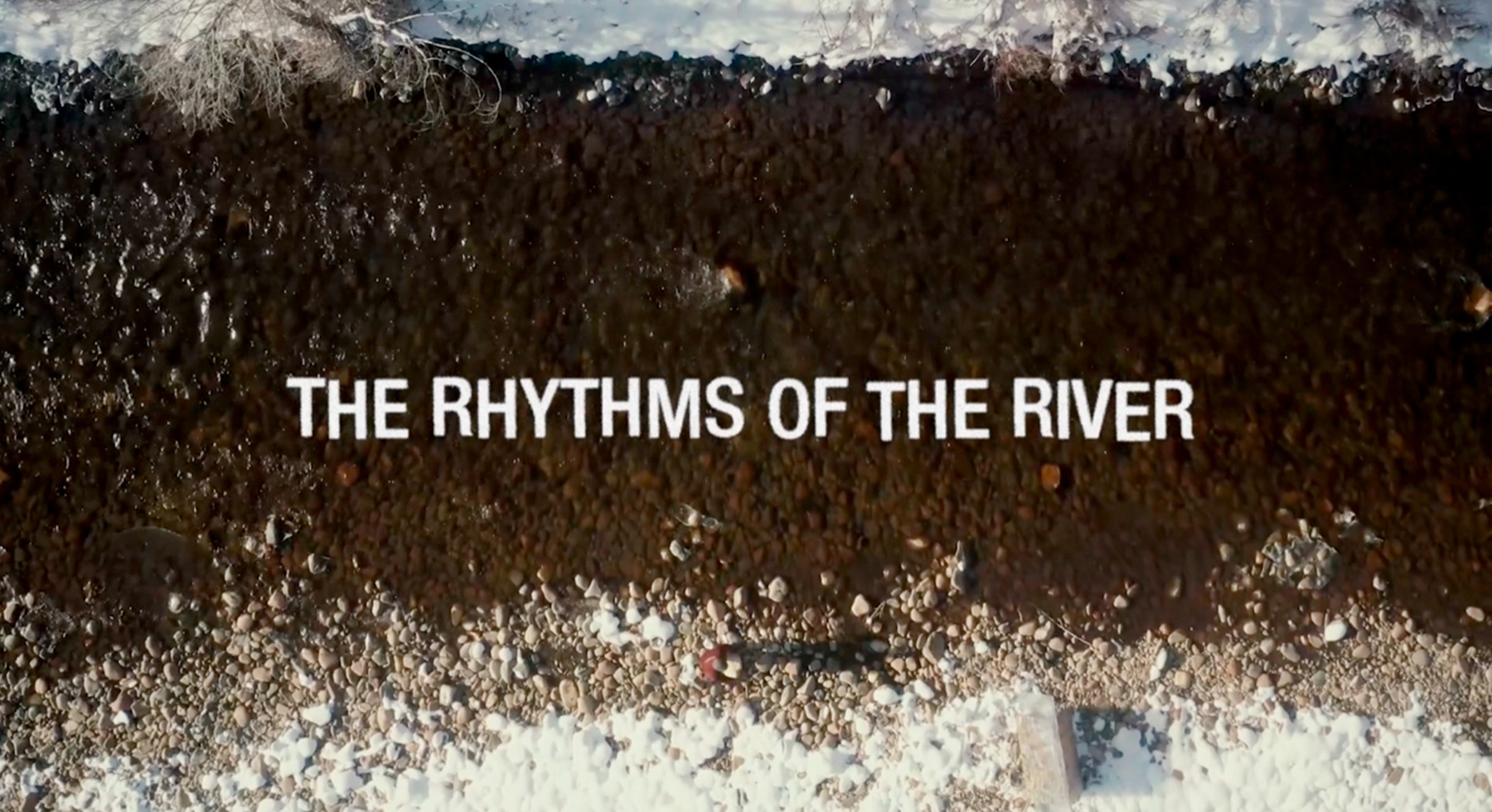 RHYTHMS OF THE RIVER
BEN MILLER